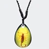QNC-14 Resin 1 Dollar Water Drop Scorpion Amber Pendant Necklace