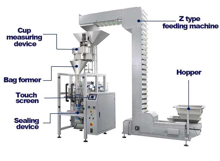 420BZ Main structure.jpg