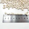 China 2019 white kidney bean New Zealand white navy beans on hot sale MC