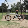 Bisek folding electric bike/electric bicycle/mini folding e-bike