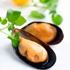 2018 Frozen Cooked(Boiled) Mussel Meat