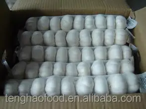 New Crop 5cm-6.5cm 20kg mesh bag pure white and normal white fresh garlic