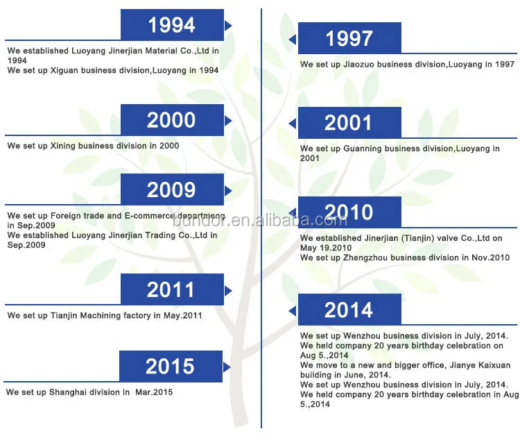 Double Flange Dual Plate Check Valve Manufacturer