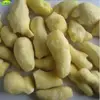 low price good product chinese fresh ginger