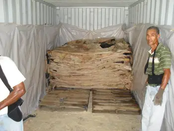 Puerto Rico Origin-wet Salted Cattle-cow Hides - Buy Wet Salted Cattle-cow Hides Product on ...