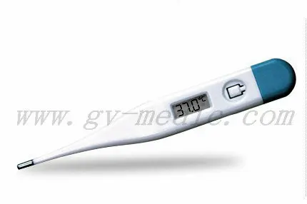 General digital thermometer DT-01A.jpg