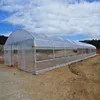 /product-detail/galvanized-steel-frame-single-span-pe-film-greenhouse-for-agriculture-low-cost-tunnel-greenhouse-greenhouse-for-flowers-plant-60830717119.html