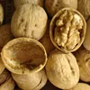 /product-detail/walnuts-chandler-ukrain-walnut-without-shell-60826925016.html