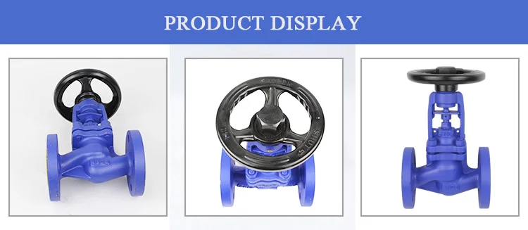 Steel Bellows Globe Valve, Cast, Hydraulic - detail 8