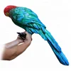 /product-detail/custom-made-standard-fiberglass-garden-parrot-sculpture-bird-60790392738.html