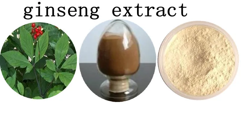 ginseng planter ginseng extract supply