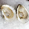 High Quality Frozen Shellfish Oyster Meat Size 80-100