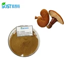 ISO Certified Manufacturer Reishi Mushroom Lingzhi Extract Capsule