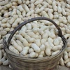 Shandong Jumbo Peanut In Shell 2018 New Crop