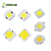 Europe Market full spectrum COB LED Chip grow light 10W 20W 30W 50W 100W 150W 200W high power chip on board COB LED