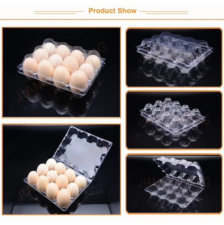 12 egg tray shoow.png