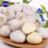 Yunan one heard garlic export to European market