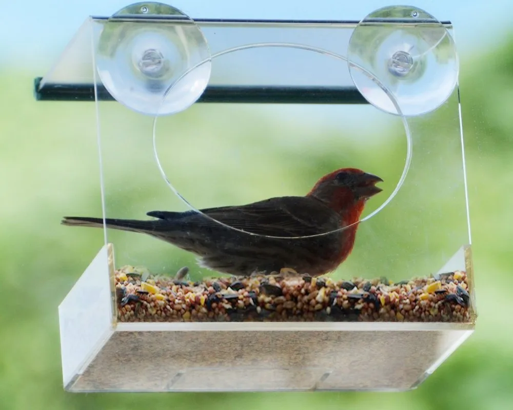 Wholesale Hanging Fashion Clear Acrylic Bird Feeder Buy Acrylic