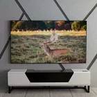 100 Inch 16:9 PET Film Material and Holographic Fixed Frame Projection Screen Film Style 3D Holographic Projector