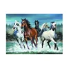 China manufacture horse in garden 3d lenticular picture