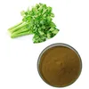 /product-detail/2018-high-purity-bulk-celery-seed-extract-60629027087.html