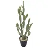 /product-detail/large-outdoor-garden-artificial-ball-tree-cactus-home-decor-plastic-artificial-desert-cactus-with-light-plants-arrangement-60680728129.html