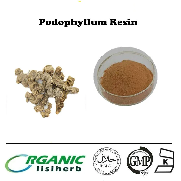 Natural Podophyllum Hexandrum Extract Podophyllin Resin