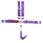 Performance Racing SFI 16.1 5 Point Harness Latch and Link Seat Belt Combo