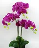 /product-detail/italian-like-fiori-artificial-phalaenopsis-orchids-potted-for-sale-62025316869.html