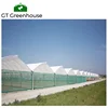 /product-detail/high-wind-industrial-tomato-retractable-greenhouse-60795582509.html