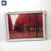 Factory selling 3d lenticular picture ,natural 3d picture with frame