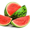 Watermelon Flavour for e liquid e juice high concentrated flavor for vape liquid