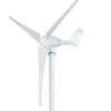 /product-detail/good-quality-600-w-wind-dynamo-price-60606704383.html