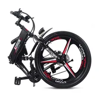 

48V 400W Peak Intergrated Wheel Mountain Ebike Foldable With Hidden Lithium Battery