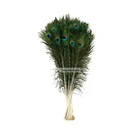 #1913 Manufacturer Natural 30-35 Inch Peacock Decoration Tail Feathers for Sale Cheap