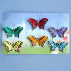 Butterfly Artificial Mini 4.5cm Wholesale Wall Sticker Feather Butterfly