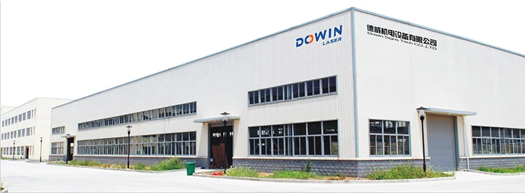 Dowin laser factory