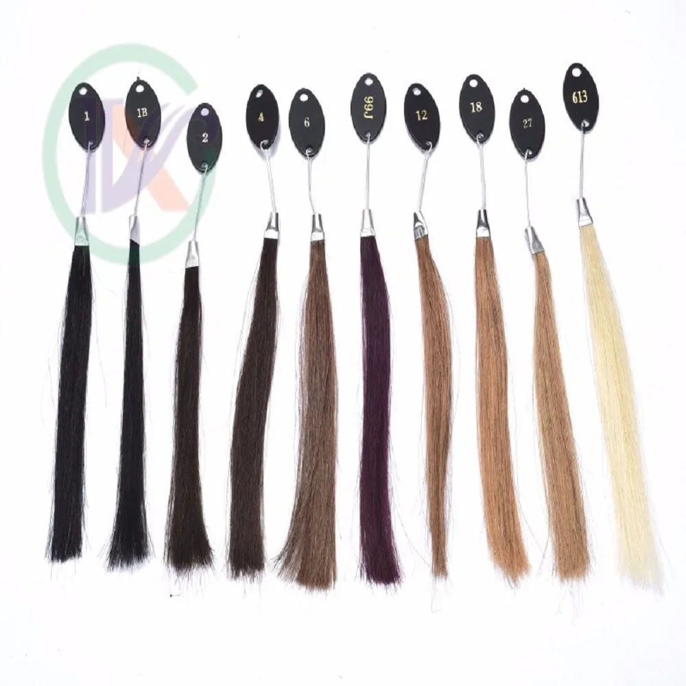 Cabelo Longxin Alimentação: anéis da cor do cabelo humano cabelo humano cartela de cores