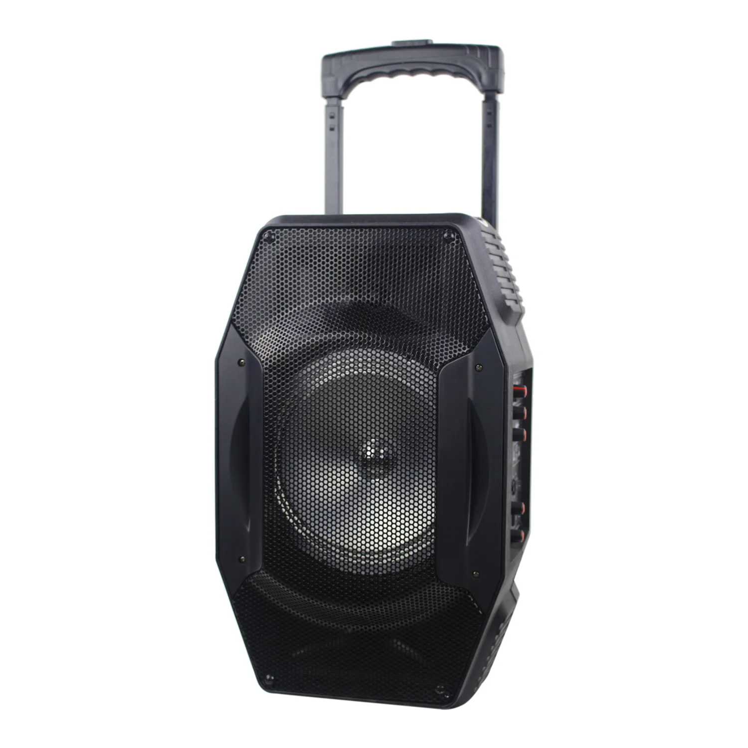 Temeisheng pro audio pa speaker,bass sound system speaker and bt speaker - ANKUX.COM