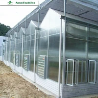 Farmtechsino Multi Span Agricultural Used Commercial