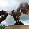 Outdoor Park famous Carving Metal Craft Animal Life Size Bronze Hawk Sculpture