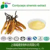 /product-detail/powder-form-chinese-cordyceps-sinensis-worm-grass-extract-60615846245.html