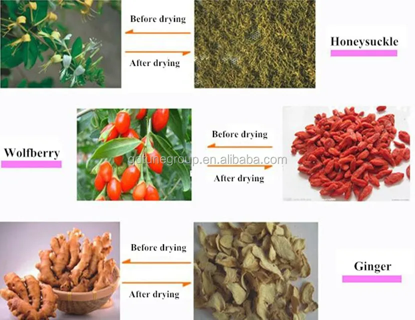 Drying box samples.jpg