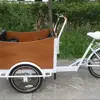/product-detail/adult-motorized-folding-front-loading-wooden-box-street-sale-food-cart-electric-cargo-bike-with-rain-cover-60795769089.html