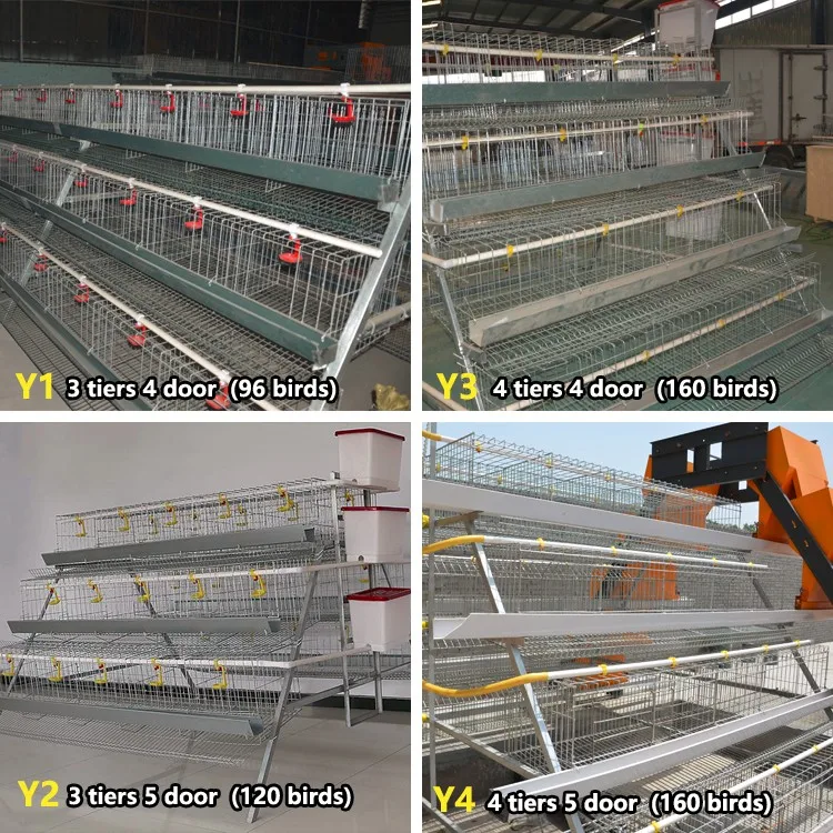China Factory Manufacture Hot Sale chicken cage for sale in kerala