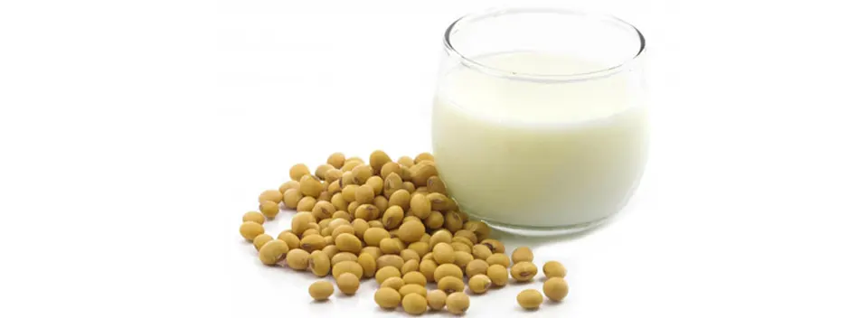 soya milk india