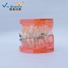 Medical Model Trimmer Dental Simulation Model for Sale