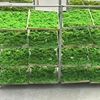 /product-detail/wholesale-fresh-preserved-moss-reindeer-artificial-green-moss-for-wall-decoration-62190163807.html