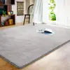 Fluffy Bedroom Living Room Rug Shaggy floor carpet