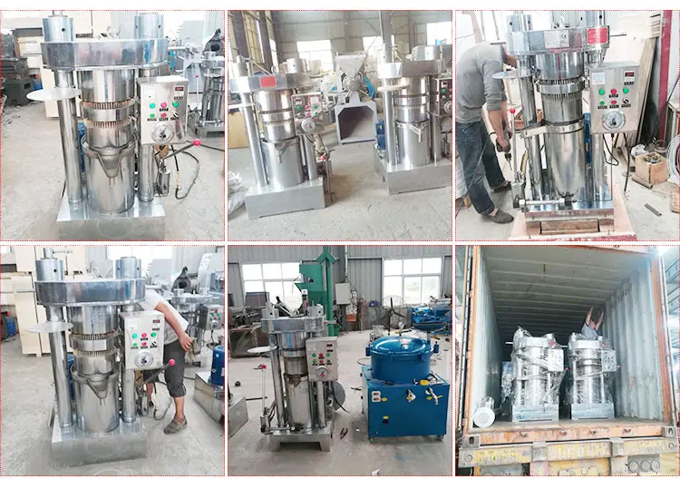 Hydraulic Olive Oil Press Machine Commercial Cocoa Butter Oil Extraction Machine Walnut Oil Expeller Equipment manufacture